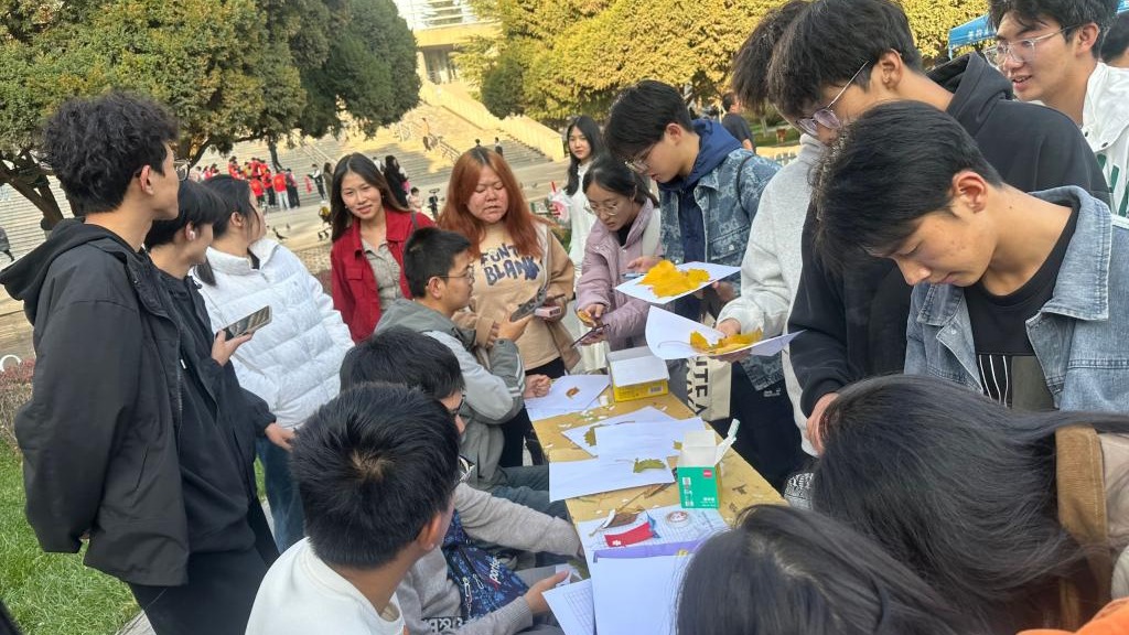 环境学院圆满举办第五届植物标本创意大赛